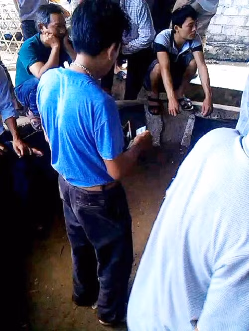 Dan than quyet dau truong ga, ca nha ra duong o-Hinh-2