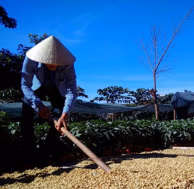 Nhung tach ca phe “biet noi” cua ong chu lap di o SG-Hinh-2