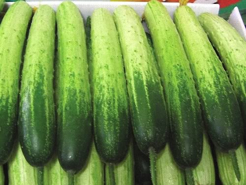 Dưa leo. Dưa leo luôn được phun nhiều loại thuốc kích thích, thuốc trừ sâu để cho quả suông mượt. Người trồng dưa thường phun thuốc liên tục, thậm chí hôm trước phun, hôm sau đã thu hoạch để mang ra chợ bán. Nếu ăn dưa leo không rửa kĩ, không gọt vỏ sẽ dễ bị ngộ độc với các triệu chứng nôn mửa, chóng mặt đau đầu. 