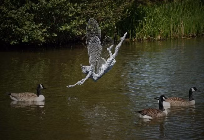 Hạ cánh vui đùa bên những chú ngỗng.