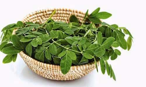 Chùm ngây là loại cây có xuất xứ từ vùng Nam Á. Loại cây này trước đây mọc hoang rất nhiều ở Việt Nam nhưng không được nhiều người biết về giá trị dinh dưỡng cũng như dược tính của nó, theo Trí thức trẻ. Sau này, khi có nhiều thông tin hơn về rau chùm ngây, loại cây này bỗng trở thành "thần dược" được rất nhiều gia đình ưa chuộng như một giải pháp dinh dưỡng tối ưu.