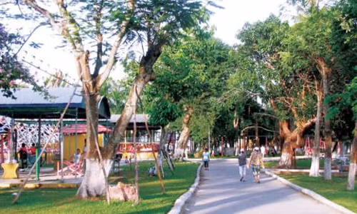 Hiep dam ban gai xong con cuop 200.000 do xang