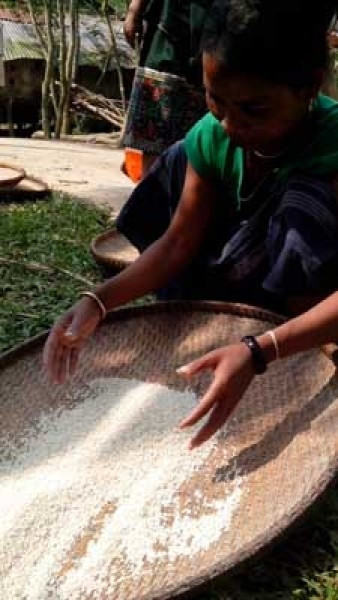 Mẻ gạo trắng ngần, hương gạo đượm nồng không uổng sức những người phụ nữ Ma Coong nhọc công chăm sóc, thu hái, giã, dần, sàng... những tháng ngày qua.