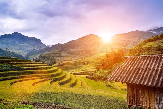 Ruộng bậc thang Mù Căng Chải, Yên Bái, rực rỡ trong ánh nắng ban mai.