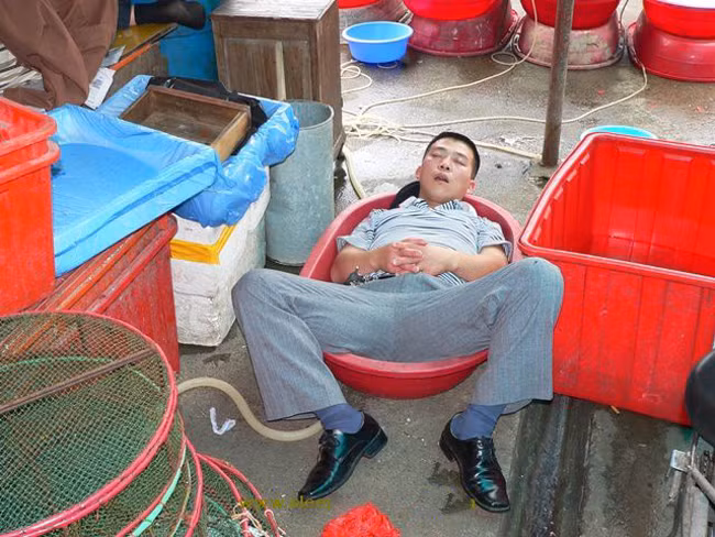 Cơn buồn ngủ ập đến thì ngã ở đâu ngủ ở đấy thôi.