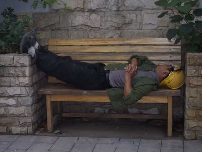 May quá, em có chỗ ngủ trưa rồi.