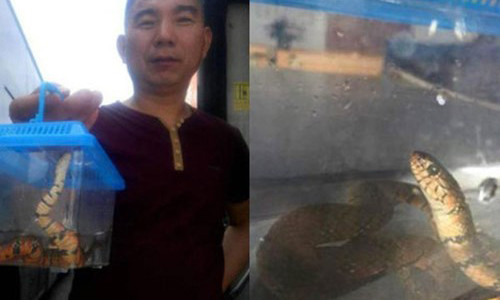 Kinh hoang nguoi dan ong nem...ran len xe bus vi khong duoc cho