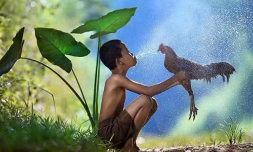 Lớn lên rồi, ai cũng muốn có một tấm vé để trở lại tuổi thơ. (ảnh minh họa)