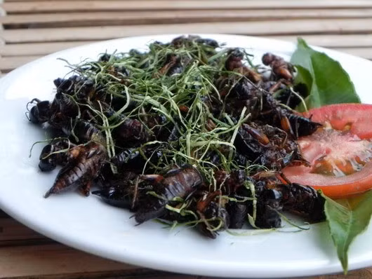 Dế được dùng nhiều ở Trà Vinh, An Giang, Cần Thơ... song hiện nay, loại nguyên liệu này đã phổ biến tại nhiều thành phố lớn. Thịt dế thơm giòn, béo ngọt. Ảnh: Linh San.