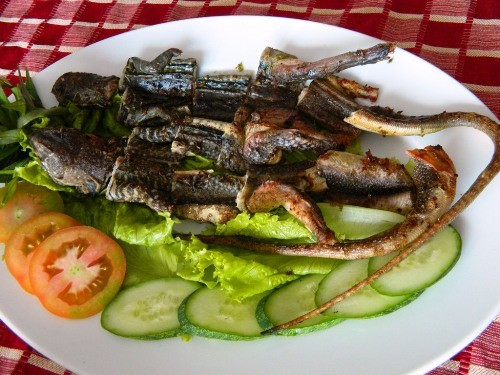 Dông (kỳ nhông) sống phổ biến ở Bình Thuận. Thịt dông thơm, ngon, nhiều dưỡng chất. Người ta thường chế biến kỳ nhông thành các món như gỏi, nấu canh, nướng muối, hầm thuốc bắc hay nấu cháo. Ảnh: Vov4.