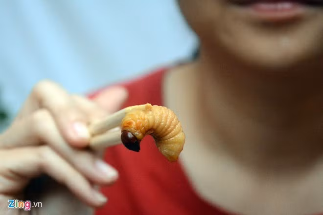 Đuông là đặc sản của vùng đất phía Nam với độ thơm, béo nổi bật. Tuy nhiên, hình ảnh những con đuông chuyển động trong chén nước mắm, trong vòm miệng, cảm giác ăn sống "sâu" khiến nhiều người chào thua. Ảnh: Lê Quân.