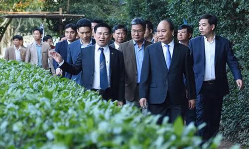 Thu tuong dang huong tai khu di tich Kim Lien