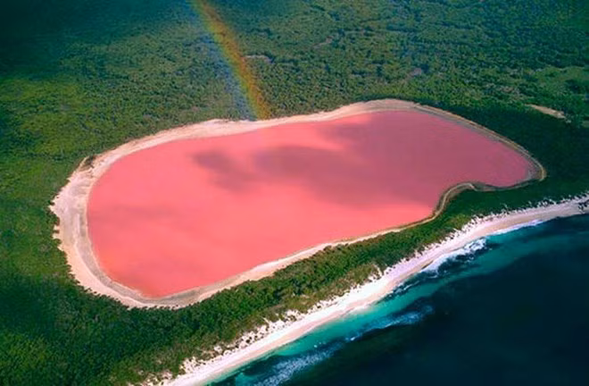 3. Hồ Hillier, Úc Hillier nằm trên đảo Middle, thuộc quần đảo Recherche, Úc. Đây là một trong những hồ nước đặc biệt nhất trên thế giới bởi màu hồng tự nhiên của nó. Các nhà khoa học cho rằng màu hồng của hồ được tạo bởi các loài sinh vật Dunaliella salina và Halobacteria. Hồ nước được bao quanh bởi một dải cát cùng cánh rừng dày đặc các loài cây tràm và bạch đàn và được ngăn cách với biển ở phía Nam bởi một dải cồn cát hẹp bao phủ bởi các thảm thực vật.