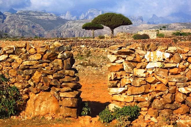 5. Đảo Socotra, Yemen Đảo Socotra tách lập hoàn toàn tách biệt với phần còn lại của thế giới có quang cảnh như một bộ phim viễn tưởng. Khí hậu khô nóng, nơi đây trở thành môi trường lý tưởng cho sự phát triển của nhiều hệ thực vật độc nhất vô nhị. Trong số đó có thể kể đến cây máu huyết cổ xưa và cây hình củ hành.