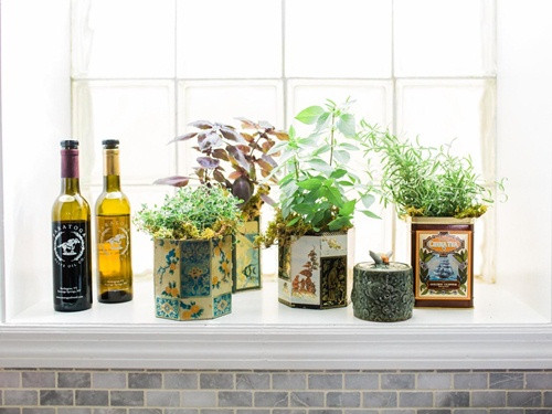 Bước 7: Trồng cây xanh trong nhà Cây xanh sẽ mang lại sắc màu, sức sống, oxy và năng lượng tích cực cho nhà bạn. Tuy nhiên, vị trí đặt cây cũng cần phải được lưu tâm vì nó có thể ảnh hưởng xấu đến phong thủy nhà bạn.