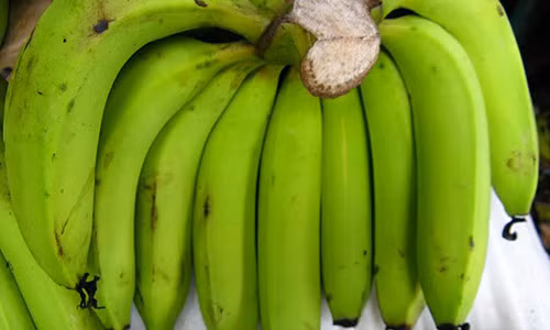 Chuoi xanh - “than duoc” chua bach benh ma ban khong biet