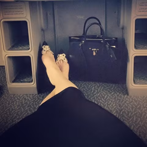 Hà Hồ và cây đồ hiệu.