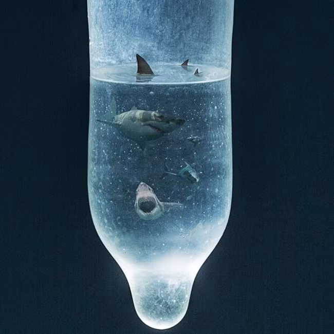 Thậm chí có thể nuôi cá mập nếu bao cao su đủ lớn.