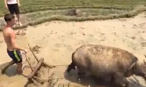 Du lich trai nghiem: Huong di moi cho Mu Cang Chai