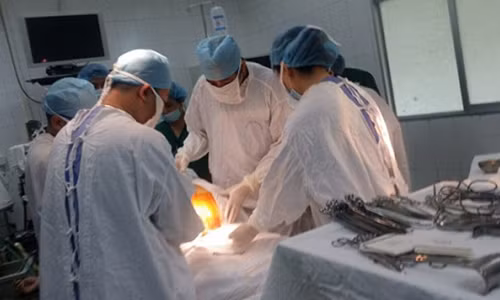 Ảnh chỉ mang tính minh họa.