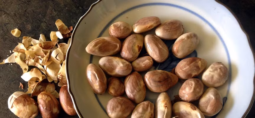 Thứ hạt này giúp giảm bớt những nếp nhăn ở trên khuôn mặt, cho nên, bạn chỉ cần làm theo cách sau. Đầu tiên, bạn hãy lấy hạt mít và ngâm trong sữa lạnh một lúc. Sau đó xay nát hạt mít và đắp lên chỗ có những nếp nhăn. Một trong những công dụng chủ yếu của hạt mít đó là khiến bạn trông trẻ hơn nếu thực hiện thường xuyên từ 4-5 tuần sẽ thấy hiệu quả.