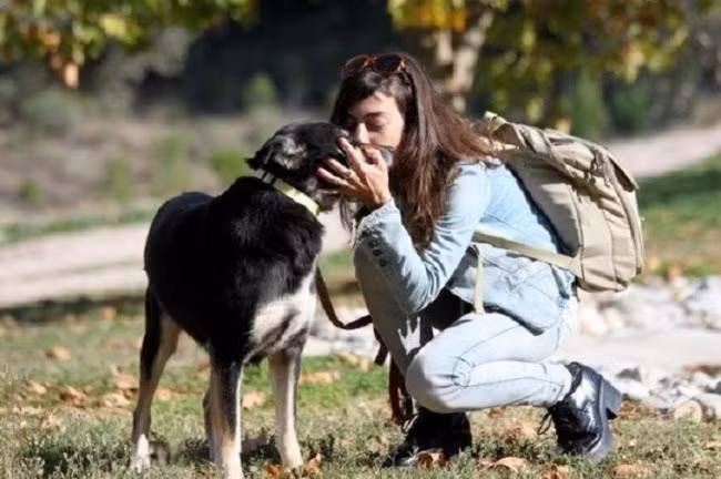 Tháng 4/2015, Valia Orfanidou đã giúp đỡ một chú chó đi lạc, mắc bệnh, không tin tưởng người lạ ở ngoại ô Athens, Hy Lạp. Sau vài tháng kiên trì, chú chó hoàn toàn thay đổi - khoẻ mạnh, thân thiện và luôn đi theo Valia.