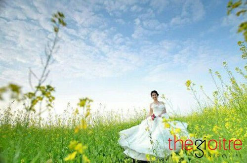 Nhiều người khi biết đến vẻ đẹp tinh khôi, mơ mộng của hoa cải ven sông Tào đã tìm đến để tận hưởng.