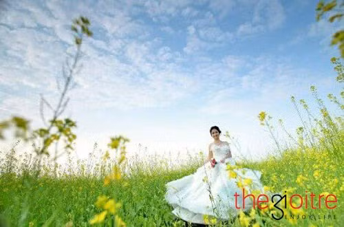 Nhiều người khi biết đến vẻ đẹp tinh khôi, mơ mộng của hoa cải ven sông Tào đã tìm đến để tận hưởng.