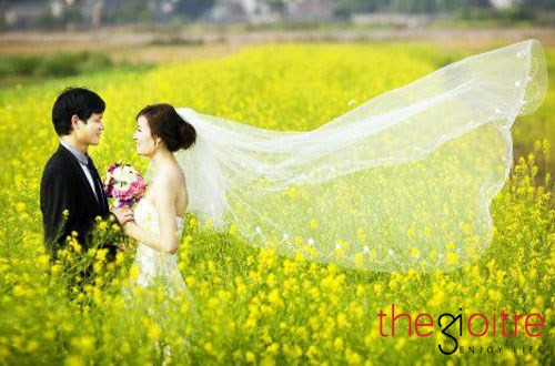 Đối với các bạn trẻ, đặc biệt là các đôi yêu nhau thì cánh đồng hoa cải vàng rực rỡ lúc vào mùa luôn là điểm đến lý tưởng để lưu lại những khoảnh khắc tuyệt đẹp.
