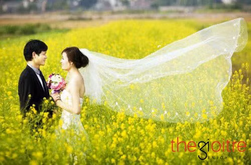 Đối với các bạn trẻ, đặc biệt là các đôi yêu nhau thì cánh đồng hoa cải vàng rực rỡ lúc vào mùa luôn là điểm đến lý tưởng để lưu lại những khoảnh khắc tuyệt đẹp.