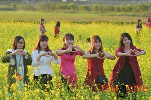 Mùa hoa cải kéo dài từ tháng 10 đến hết tết âm lịch.