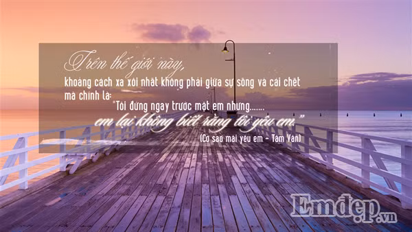 Trên thế gian này, điều đau khổ nhất là nhìn người mình yêu mỗi ngày, đối diện mỗi phút nhưng chưa một lần dám nói yêu người ấy lấy một lần. Cảm giác đơn phương mà không thể nói ra này giống như gần trong gang tấc nhưng sợ bước một chân tới gần lại trở thành lý do cách biệt ngàn trùng.