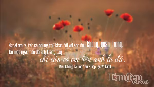 Bất cứ một người con gái nào cũng muốn trở thành thứ quý giá nhất của người con trai mình yêu mà dù cho đánh đổi tất cả họ cũng muốn ở bên bạn đúng không? Đây là một trong những câu tỏ tình ngọt ngào nhất.