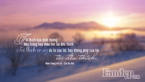 Đơn giản thích là thích thôi, tình cảm thì làm gì có lý do. Nếu như trong tình yêu, bạn dễ dàng tìm được lý do tại sao yêu một người, hãy cân nhắc lại tình yêu của mình. Tình yêu thật sự càng không phải là mong muốn chiếm hữu mà dù người đó không thuộc về mình thì yêu vẫn cứ là yêu. Tình yêu đẹp nhất chính là sự chờ đợi, hi sinh không mong đáp trả.