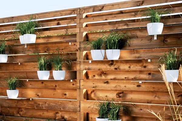 Thêm chậu trồng cây trên hàng rào Với hàng rào bằng sắt, bạn có thể lắp đặt thêm máng sắt phía trên hàng rào, bỏ đất vào trong và trồng những loại hoa dễ sống. Những cây hoa sẽ nở những bông rực rỡ, tạo vẻ đẹp cuốn hút cho hàng rào vốn đơn điệu, tẻ nhạt.