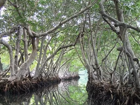 Kinh hoang tham kich dao ca sau 1000 nguoi di qua... 20 nguoi song-Hinh-2