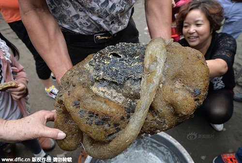 Phat hien “quai vat” bien sau nghi nam linh chi ngan nam-Hinh-3