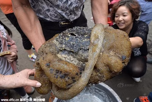 Phat hien “quai vat” bien sau nghi nam linh chi ngan nam-Hinh-3