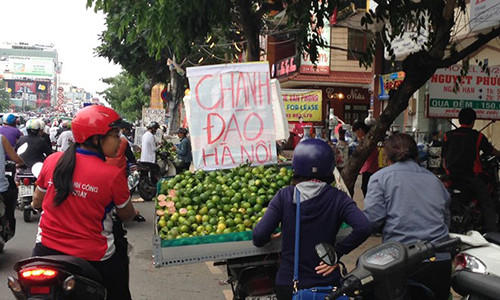 Bo tui tien trieu moi ngay tu ban dao chanh dao o SG