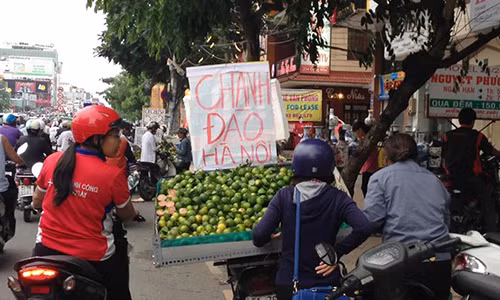 Bo tui tien trieu moi ngay tu ban dao chanh dao o SG