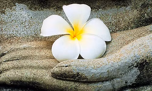 Phu nu lam dieu nay phuc khi cuc tot