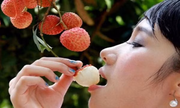 Lưu ý khi ăn vải. Do vải có thể tăng cường khả năng miễn dịch, do đó có thể làm tăng các triệu chứng của bệnh tự miễn dịch như bệnh đa xơ cứng, lupus, viêm khớp dạng thấp. Vì vậy, nếu bạn đang gặp phải những căn bệnh này, hãy thận trọng khi ăn vải, tốt nhất nên hỏi ý kiến của bác sĩ trước khi ăn.