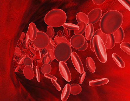 Cải thiện lưu thông máu: Những khoáng chất cần thiết cho cơ thể như đồng, hemoglobin, folate và magiê được tìm thấy với số lượng đáng kể trong quả vải. Chúng góp vai trò quan trọng trong quá trình tạo hồng cầu, thúc đẩy lưu thông máu và tăng khả năng oxy hóa của các cơ quan và tế bào trong cơ thể.