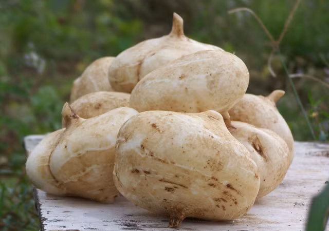 Bao nhieu mun cung bay bien neu thoa cu qua nay len mat-Hinh-2