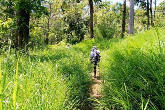 Vượt rừng lá thấp ở Phan Dũng: Đoạn qua Phan Dũng (Bình Thuận) rất dễ đi, không mất nhiều sức lực nhưng dễ bị lạc đường, vì đường mòn có lúc bị cỏ cây che phủ, lại nhiều ngã rẽ. Bạn phải vượt qua nhiều khu vực rừng lá thấp dưới cái tiết trời nóng bức, trong khi sức lực ai nấy cũng thấm mệt, được xem như là thử thách của thiên nhiên ở chặng cuối cùng.