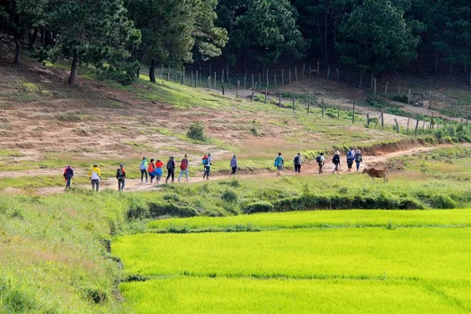 Vác không dưới 15 kg hành lý: Phải mất 2-3 ngày mới có thể hoàn thành xong cung trekking này, do đó việc ăn uống, ngủ nghỉ đều diễn ra trong rừng và trên đường đi. Hành trang của bạn phải mang vác đủ thứ, từ các vật dụng cá nhân, nhu yếu phẩm, lều trại… Các bạn nữ nên mang khoảng 10 kg hành lý, nam tầm 15 kg, với những tay hay đi phượt mang vác thêm cả máy ảnh, chân máy, ống kính… có thể lên đến 20 kg.