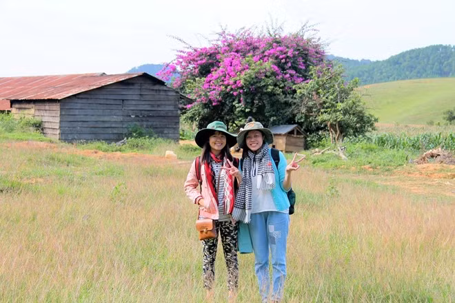 Check-in ngôi nhà hoa giấy: Ngôi nhà hoa giấy nằm cách đoạn đầu vào bìa rừng khoảng 1,5 km. Nơi đây phong cảnh đẹp, với rừng thông bạt ngàn vi vu trong gió thng, đồng cỏ bay phấp phới hòa trong vẻ xanh rờn của đồng lúa. Căn nhà nhỏ của người dân tộc điểm xuyến cây hoa giấy nằm lọt thỏm giữa một vùng đất bao la, thu hút nhiều bạn chụp ảnh, check-in.