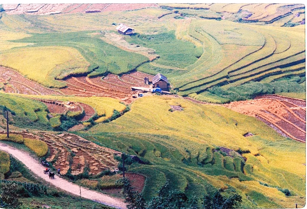 Nhưng Y Tý không chỉ có mây và lúa. Sắc màu Y Tý còn hấp dẫn bởi cuộc sống của những người dân nghèo. Bình dị, đơn sơ nhưng chất phác, hồn nhiên và hơi thở của nó là thứ nhiều người tìm kiếm.