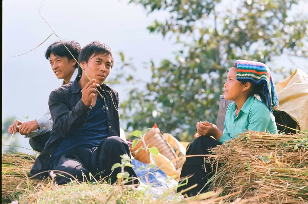 Nụ cười mùa gặt của những chàng trai, cô gái đang tuổi thanh xuân.