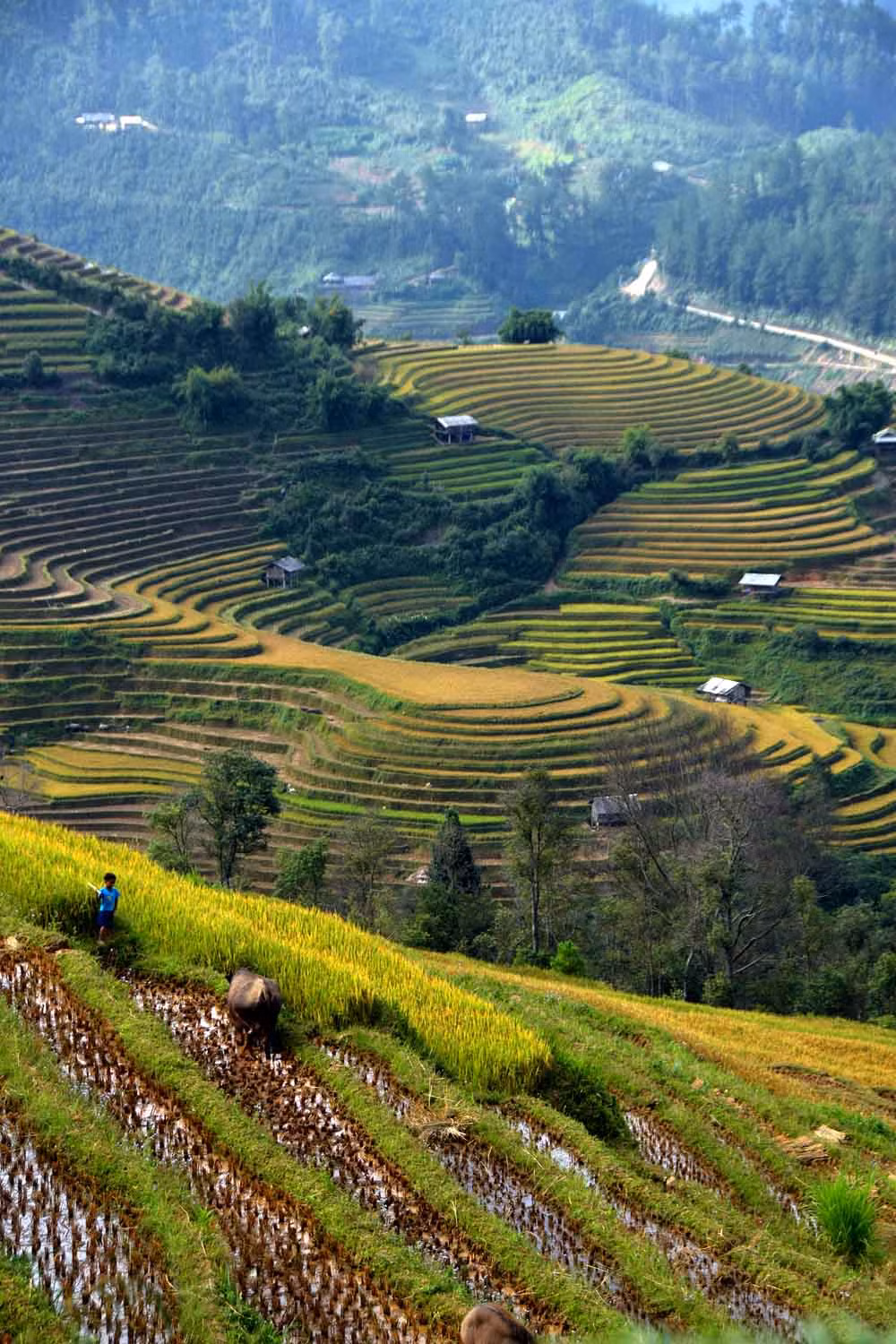 Địa điểm này cách trung tâm huyện lỵ khoảng 10km, ngay chân cầu Ba Nhà có một con đường đất đi ngược lên trên. Đường khá xấu, sẽ trơn trượt vào những ngày mưa. Tại đầu con đường này lúc nào cũng có sẵn đội ngũ xe ôm người bản địa, sẵn sàng chở bạn lên tận nơi ngắm được mâm xôi với góc gần nhất, với giá khoảng 60 nghìn đồng cho cả hai lượt lên - xuống.